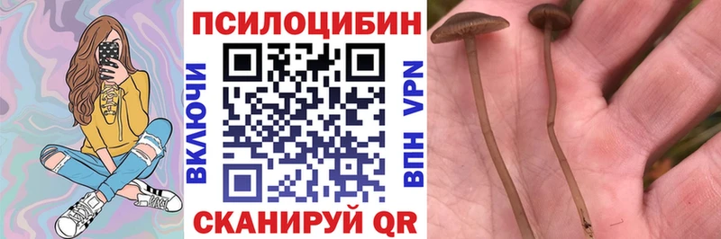 Купить закладки  Якутск  Галлюциногенные грибы Psilocybine cubensis 